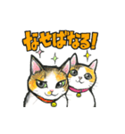 【保護犬と保護猫】使える！敬語＆ゆるめ（個別スタンプ：39）