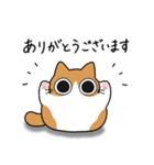 もちゃねこ茶白【敬語】（個別スタンプ：4）