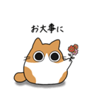 もちゃねこ茶白【敬語】（個別スタンプ：36）