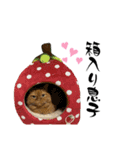 もこたくぽぅぽ（個別スタンプ：4）