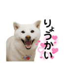 もこたくぽぅぽ（個別スタンプ：7）