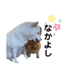 もこたくぽぅぽ（個別スタンプ：13）