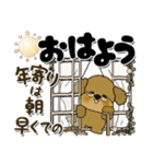 プードル犬 11『じぃじ＆ばぁば』（個別スタンプ：1）