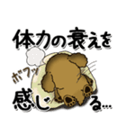 プードル犬 11『じぃじ＆ばぁば』（個別スタンプ：16）