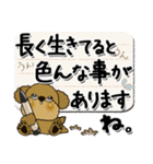プードル犬 11『じぃじ＆ばぁば』（個別スタンプ：35）