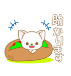 わんこ日和(日本犬)-toYvu-（個別スタンプ：13）