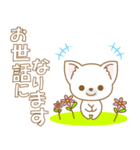 わんこ日和(日本犬)-toYvu-（個別スタンプ：14）