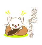 わんこ日和(日本犬)-toYvu-（個別スタンプ：31）