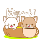 わんこ日和(日本犬)-toYvu-（個別スタンプ：38）
