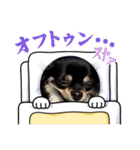 チワワのこたろうくん☆（個別スタンプ：3）