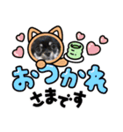 チワワのこたろうくん☆（個別スタンプ：4）