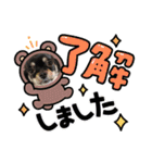 チワワのこたろうくん☆（個別スタンプ：5）