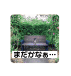 チワワのこたろうくん☆（個別スタンプ：11）