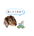 おじいちゃんだワン（個別スタンプ：28）