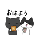 仲良し！猫のさーちゃんのスタンプ（個別スタンプ：1）