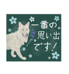 ツキカノ今までのキャラクター達。お祝い編（個別スタンプ：18）