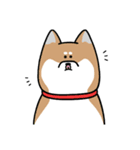 同じような顔の人達4（個別スタンプ：21）