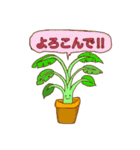 わが家の観葉植物スタンプ（個別スタンプ：3）