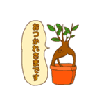 わが家の観葉植物スタンプ（個別スタンプ：4）