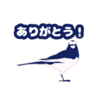 身近な鳥さんのスタンプ(改訂版)（個別スタンプ：2）