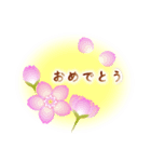 さくらの花便り（個別スタンプ：1）