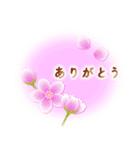 さくらの花便り（個別スタンプ：7）