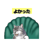 挨拶と日常会話のネコのステッカー（個別スタンプ：34）