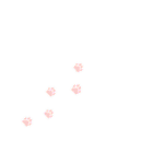 うさぎとねこの仲間たち2（個別スタンプ：25）