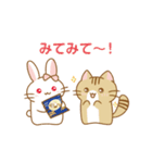 みみちゃんとちゃとらくん（個別スタンプ：34）