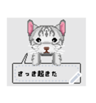 ドット絵の猫メッセージスタンプ（個別スタンプ：1）