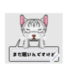 ドット絵の猫メッセージスタンプ（個別スタンプ：2）