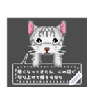 ドット絵の猫メッセージスタンプ（個別スタンプ：3）