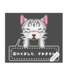 ドット絵の猫メッセージスタンプ（個別スタンプ：4）