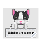 ドット絵の猫メッセージスタンプ（個別スタンプ：6）