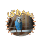 いろいろんな動物達（個別スタンプ：18）