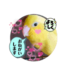 マメルリハ達3（個別スタンプ：2）