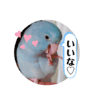 マメルリハ達3（個別スタンプ：5）