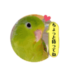 マメルリハ達3（個別スタンプ：8）