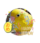 マメルリハ達3（個別スタンプ：10）