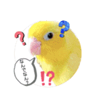 マメルリハ達3（個別スタンプ：14）