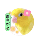 マメルリハ達3（個別スタンプ：18）