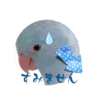 マメルリハ達3（個別スタンプ：21）