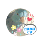 マメルリハ達3（個別スタンプ：23）