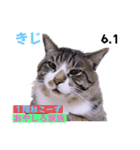 2023年第1弾ねこーずお名前スタンプ（個別スタンプ：2）