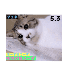 2023年第1弾ねこーずお名前スタンプ（個別スタンプ：33）
