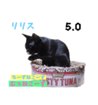 2023年第1弾ねこーずお名前スタンプ（個別スタンプ：38）