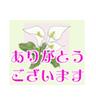 シニア女性マダム達 春 デカ文字（個別スタンプ：6）