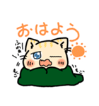 神社のねこのしろちゃん（個別スタンプ：24）