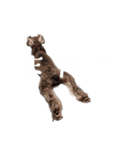 かとーさんちのジジとめい（個別スタンプ：19）