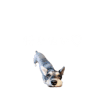 かとーさんちのジジとめい（個別スタンプ：30）